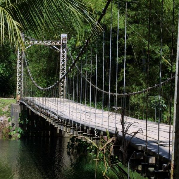 IMG_7420 bridge suspension